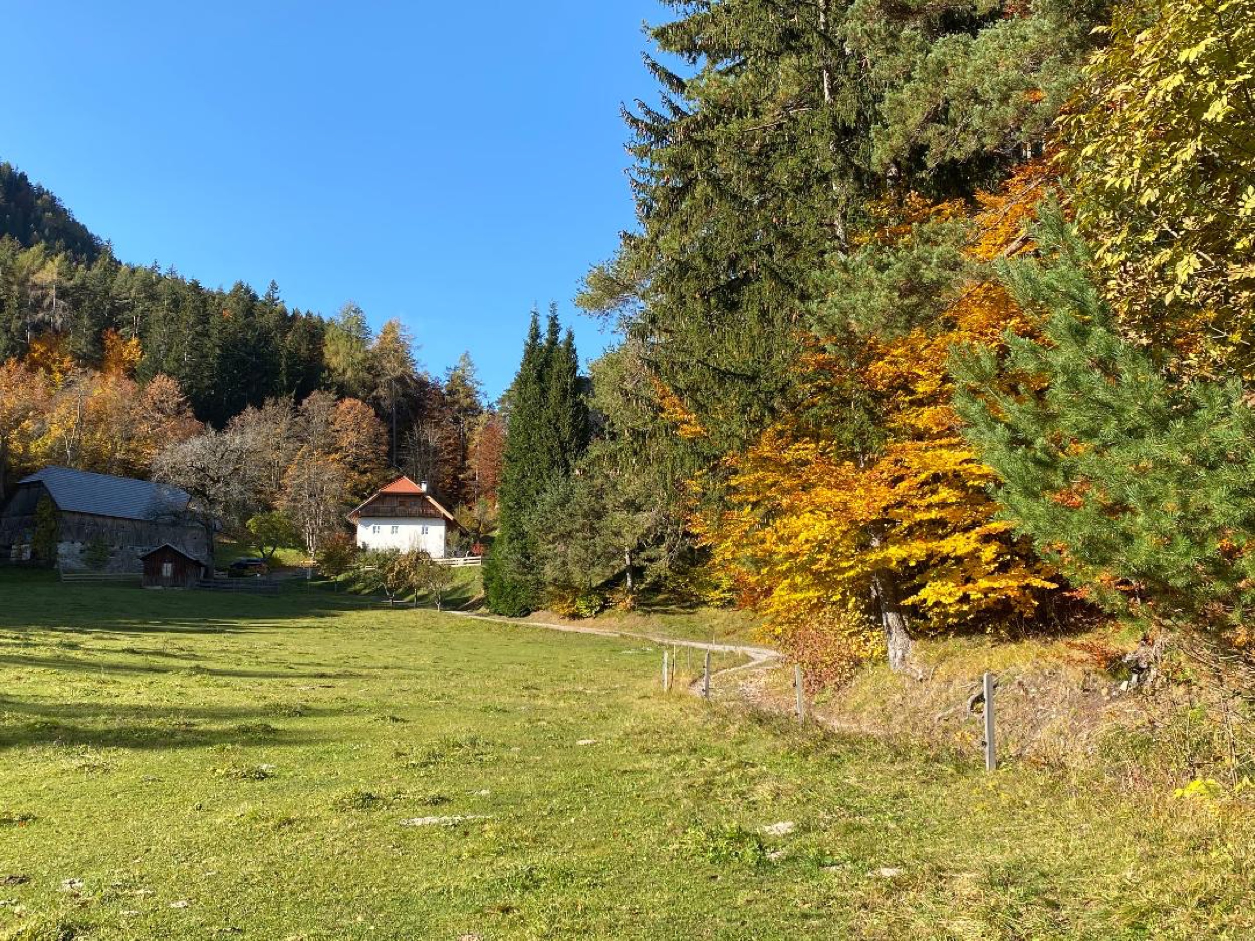 Aussen Herbst Kuhweide