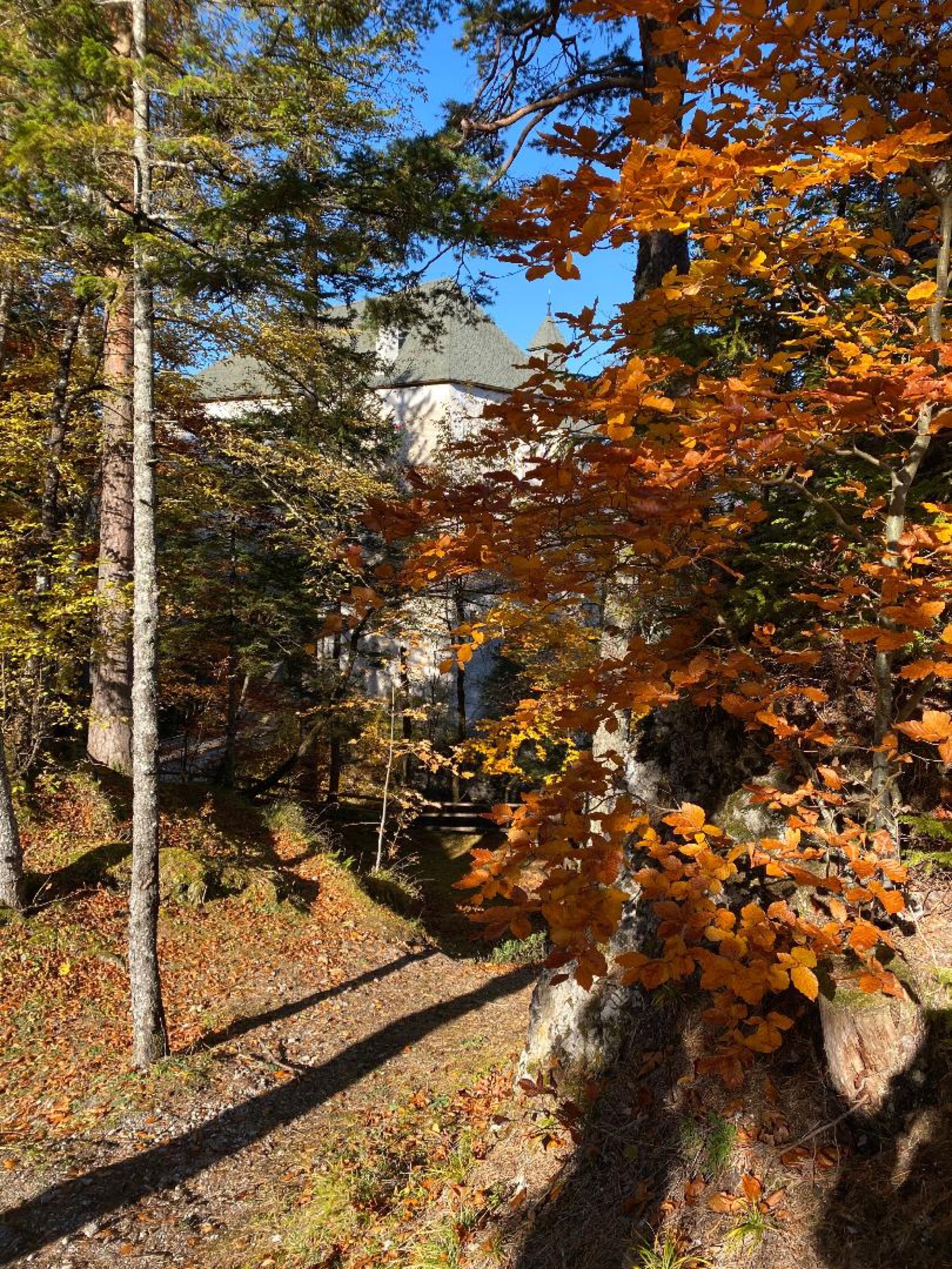 Aussen-Herbst-Schloss