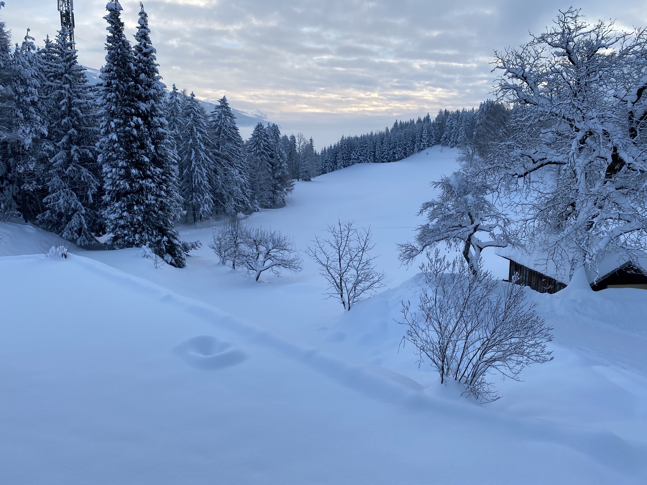 Aussen Winter Garten